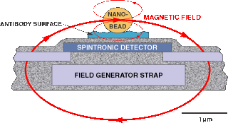 Biosensor