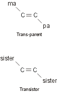 Trans-parent/transistor