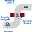 Schematic of TMR-based nucleation sensor device concept