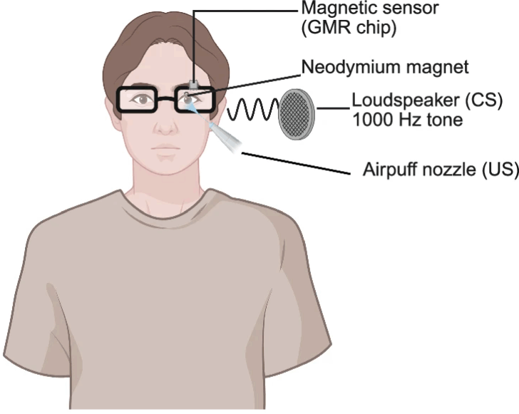 Figure 4c